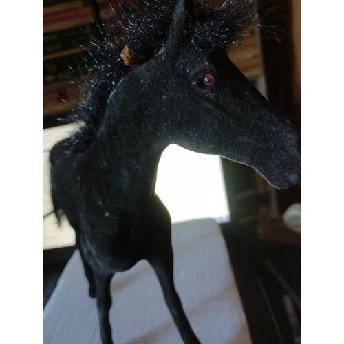 Cheval Noir Genre Velours
