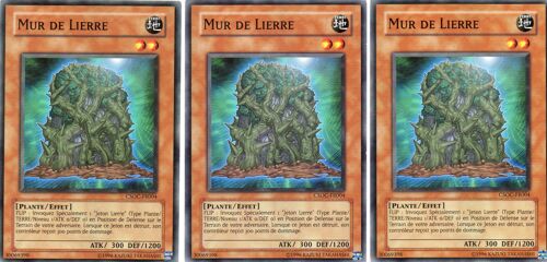 Mur De Lierre  X3  - Csoc-Fr004
