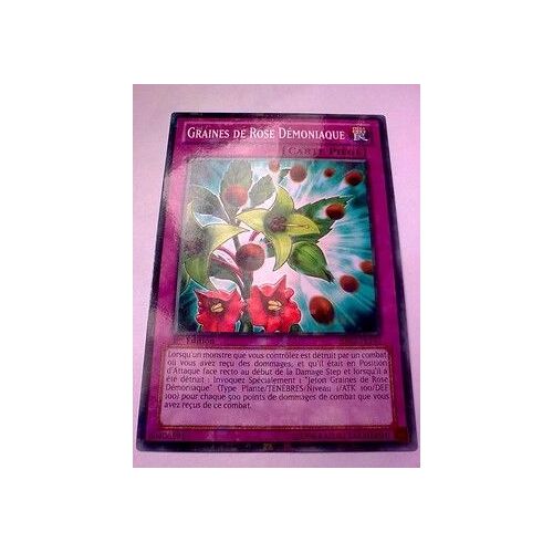 Graines De Rose Démoniaques Bp02-Fr192