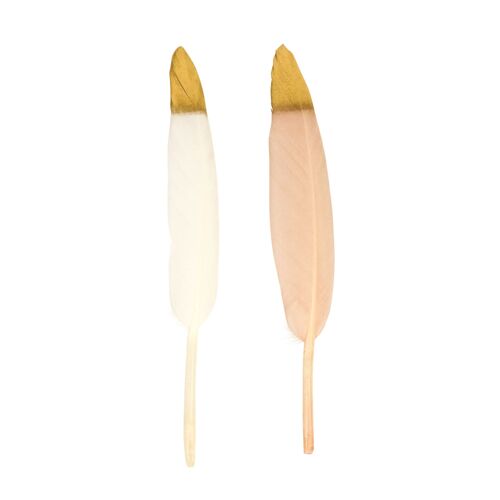 Plume Blanche Et Nude À Bout Doré 14 Cm 24 Pièces