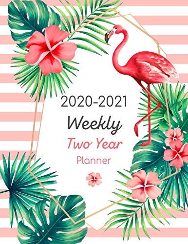 2020-2021 Weekly Two Year Planner: Weekly Planner Organizer | 2020-2021 Planner Jan 2020 - Dec 2021 2 Year Daily Weekly Monthly | Calendar Planner | ... (Monthly Calendar & Weekly Planner Book)