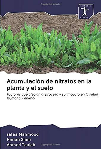 Acumulación De Nitratos En La Planta Y El Suelo