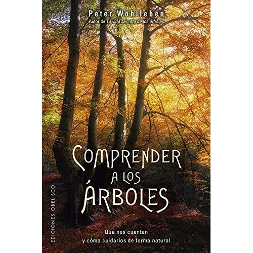 Comprender A Los Arboles