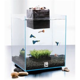 Aquarium Fluval Shui