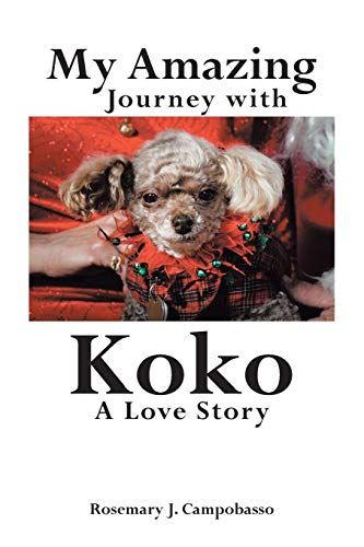 My Amazing Journey With Koko A Love Story