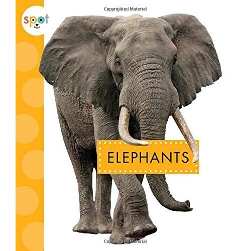 Elephants