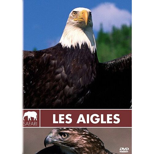 Les Aigles