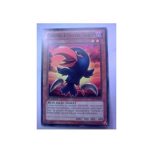 Corbeau A Griffes Caligo - Ys13 Fr008