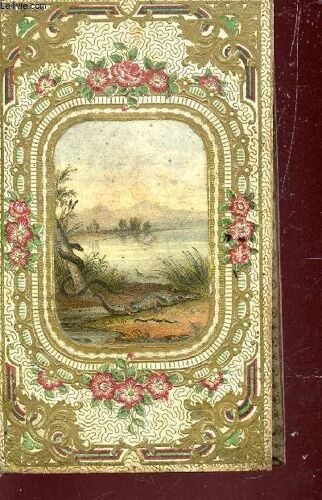 Esquisses Entomologiques Ou Histoire Naturelle Des Insectes Les Plus Remarquables / Quatrieme Edition.