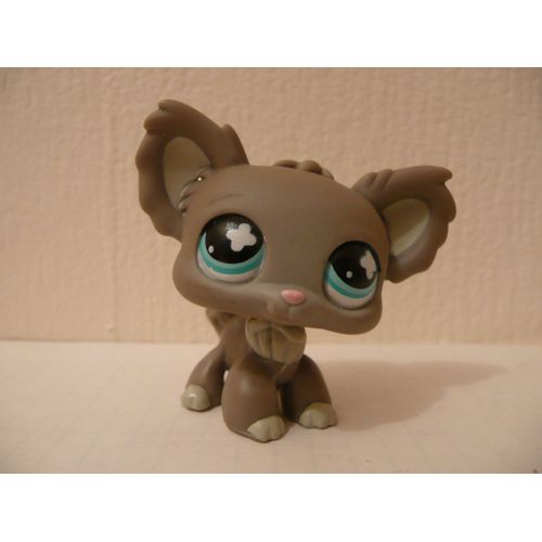 Petshop Chien Papillon N°836