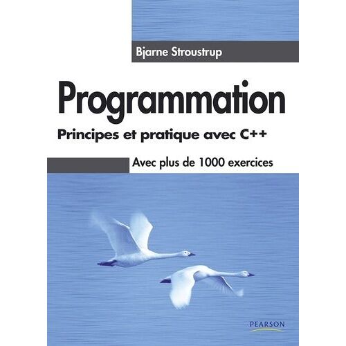 Programmation - Principes Et Pratique Avec C++