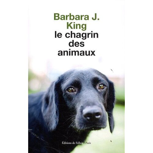 Le Chagrin Des Animaux