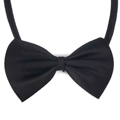 Noeud Papillon Pour Animal De Compagnie Chat Et Chien Déguisement Noir