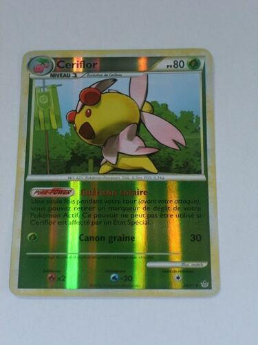 Ceriflor Holo - Déchainement - 80pv - 28/95