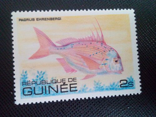 Timbre Guinee Yt 660 Goldenhead Porgy (Pagrus Ehrenbergi) 1979 ( 030305 )