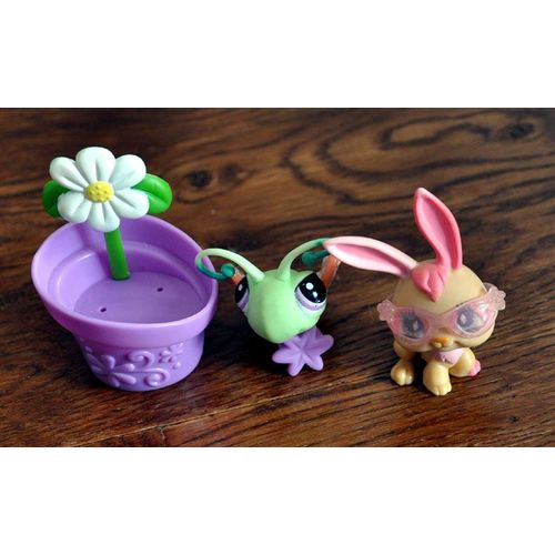 Petshop Lapin + Insecte + Accessoires