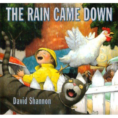 The Rain Came Down