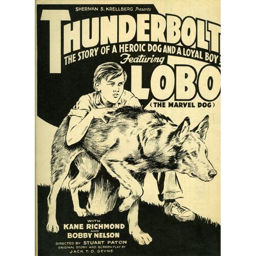 Thunderbolt, Synopsis Dépliant, Stuart Paton, Avec Lobo The Marvel Dog, Kane Richmond, Bobby Nelson
