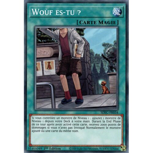 Yugioh! Sdfc-Fr034 Woùf Es-Tu ?