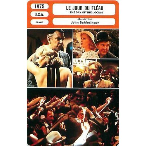 Fiche Monsieur Cinema Le Jour Du Fléau