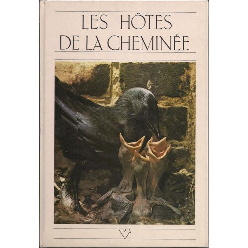 Les Hôtes De La Cheminée - Choucas, Corbeau Et Autres Corvidés