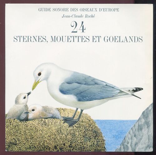 Jcr - N° 24 -   Sternes, Mouettes Et Goélands  - Oiseaux De France  -   Jean-Claude Roché