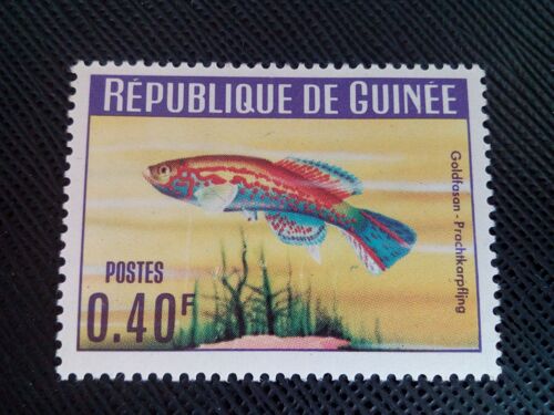 Timbre Guinee Yt 178 Golden Pheasant (Aphyosemion Occidentale) 1964 ( 020305 )
