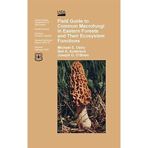 Field Guide To Common Macrofungi In Eastern Forests And Their Ecosystem Function