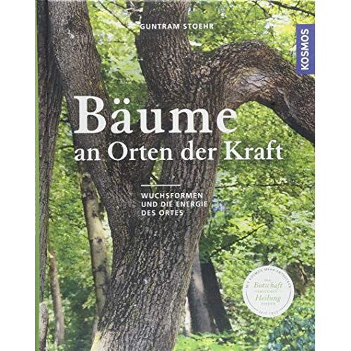 Bäume An Orten Der Kraft