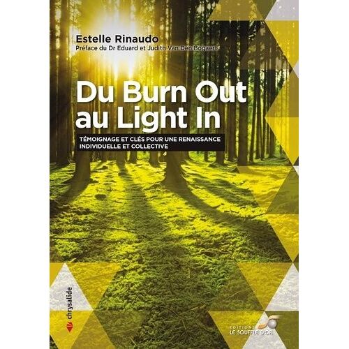 Du Burn Out Au Light In - Témoignage Et Clés Pour Une Renaissance Individuelle Et Collective