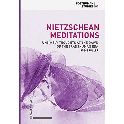 Nietzschean Meditations (Hardcover)