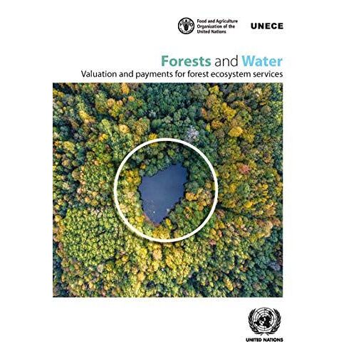 Forests And Water