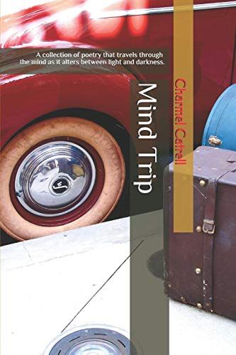 Mind Trip: A Collection Of Poetry That Travels Through The Mind As It Alters Between Light And Darkness.