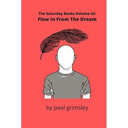 Flew In From The Dream: The Saturday Books Volume 22