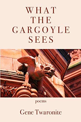 What The Gargoyle Sees