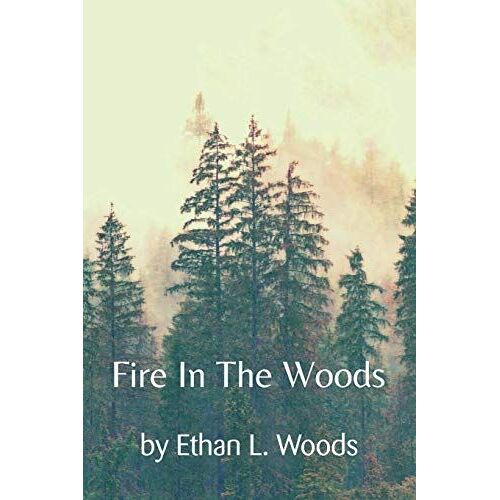 Fire In The Woods