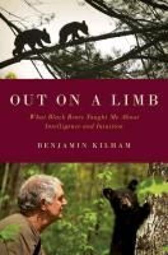 Out On A Limb: What Black Bears Have Taught Me About Intelligence And Intuition