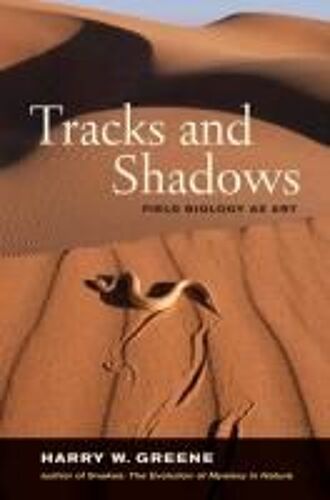 Tracks And Shadows