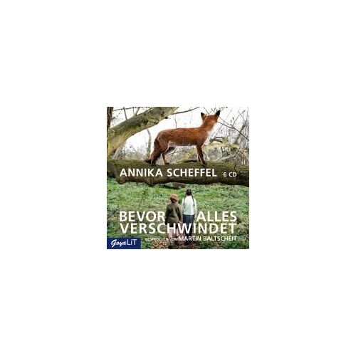 Bevor Alles Verschwindet