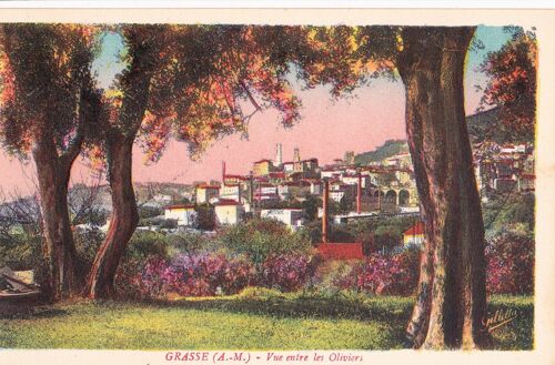 Cpa Cote D'azur - Grasse (A.-M.) - Vu Entre Les Oliviers