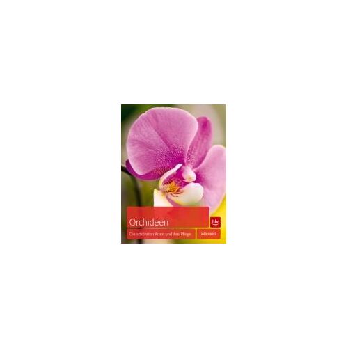 Orchideen