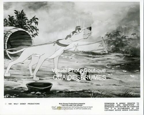 The Fox And The Hound - Rox Et Rouky, Walt Disney: Photo Argentique D'exploitation Cinématographique - Format 20x25 Cm - De Ted Berman, Richard Rich, Art Stevens - 1981