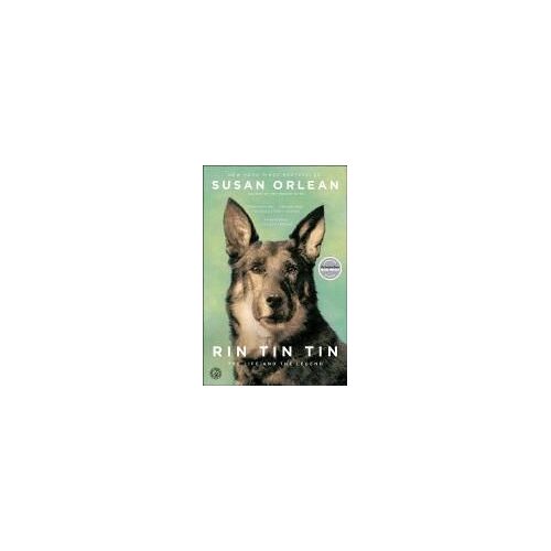 Rin Tin Tin