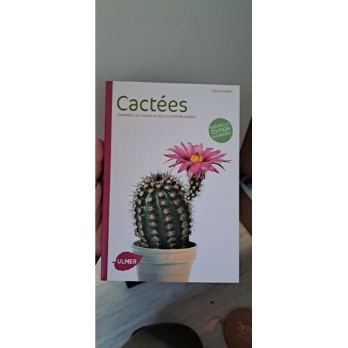 Cactées