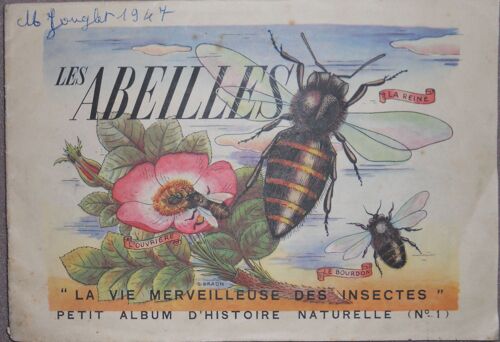Les Abeilles La Vie Merveilleuse Des Insectes N°1