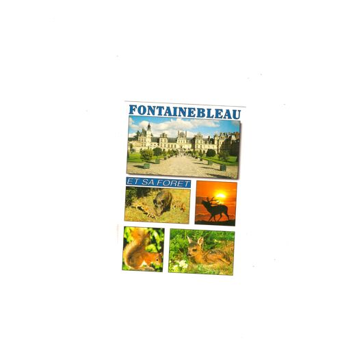 Fontainebleau Et Sa Forêt
