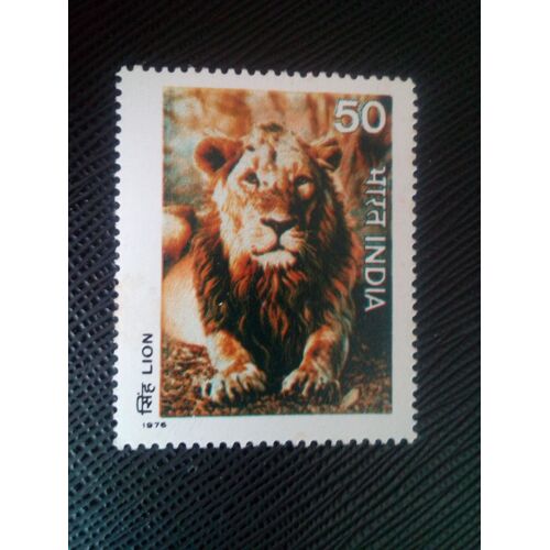 Timbre Inde Y T 495 Lion D'asie (Panthera Leo Persica) 1976 ( 030407 )