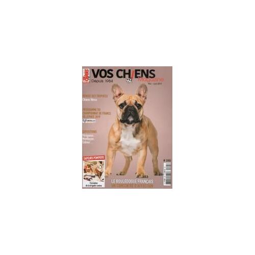 Vos Chiens 355 Le Bouledogue Francais Un Concentre D'affection