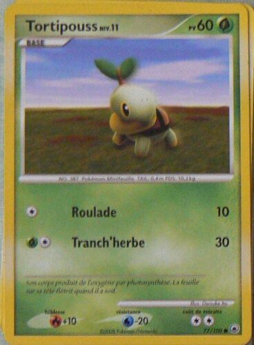 Tortipouss Niv.11 - Aube Majestueuse - 77/100 - Edition 2008