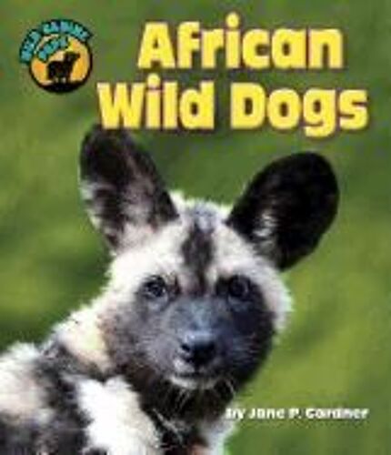 African Wild Dogs